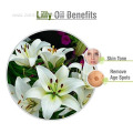 Factory supply high quality lily essential oil bulk